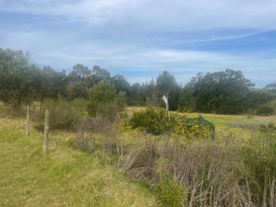 Commercial Property for Sale in Keurbooms Western Cape